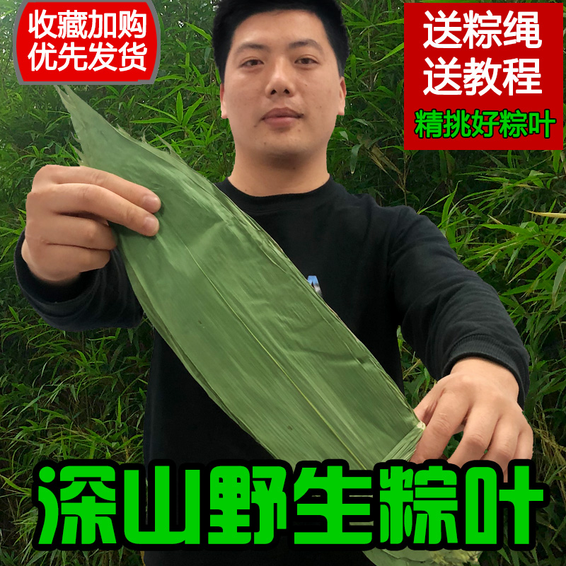 粽子叶粽叶干新叶天然野生竹叶