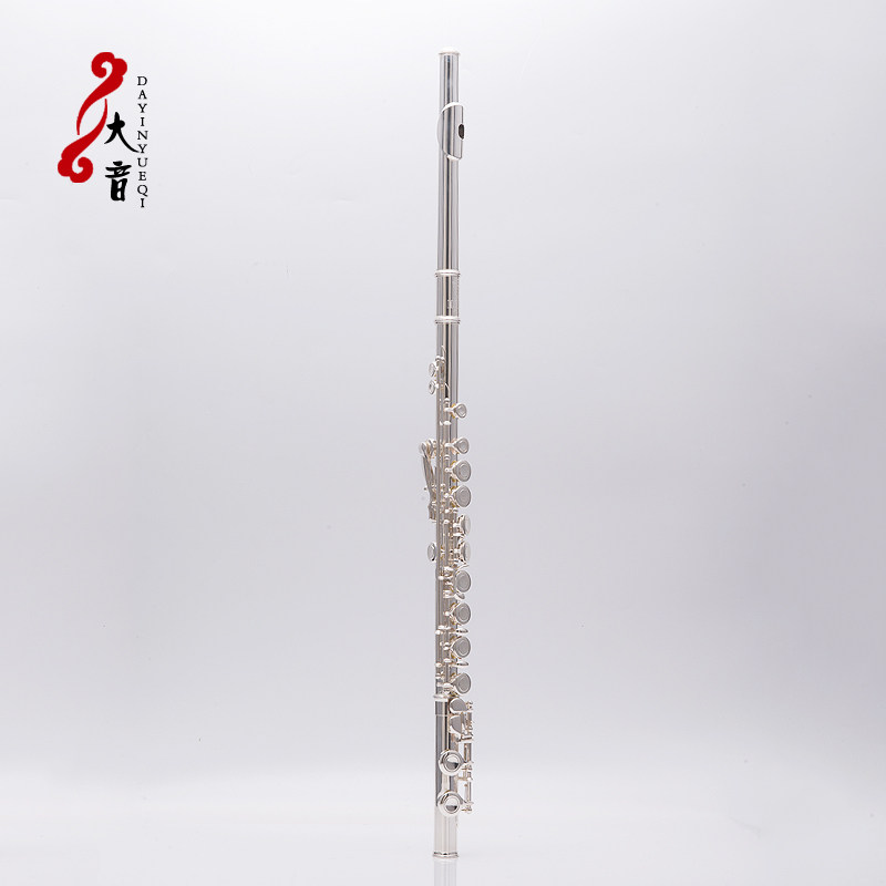 梵巢牌儿童成人西洋吹奏乐器C调16闭孔白铜镀银长笛初学演奏FL268