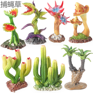 硬塑仿真捕蝇草模型毒蘑菇巨人柱食人花铁甲树食虫草儿童认知玩具