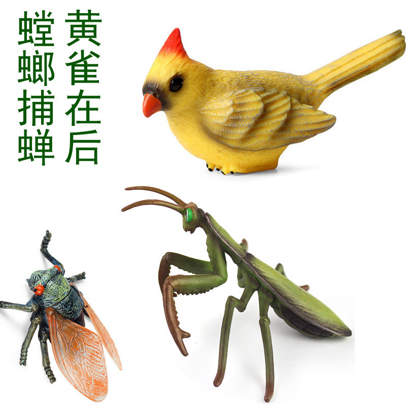 螳螂捕蝉黄雀在后仿真pvc模型