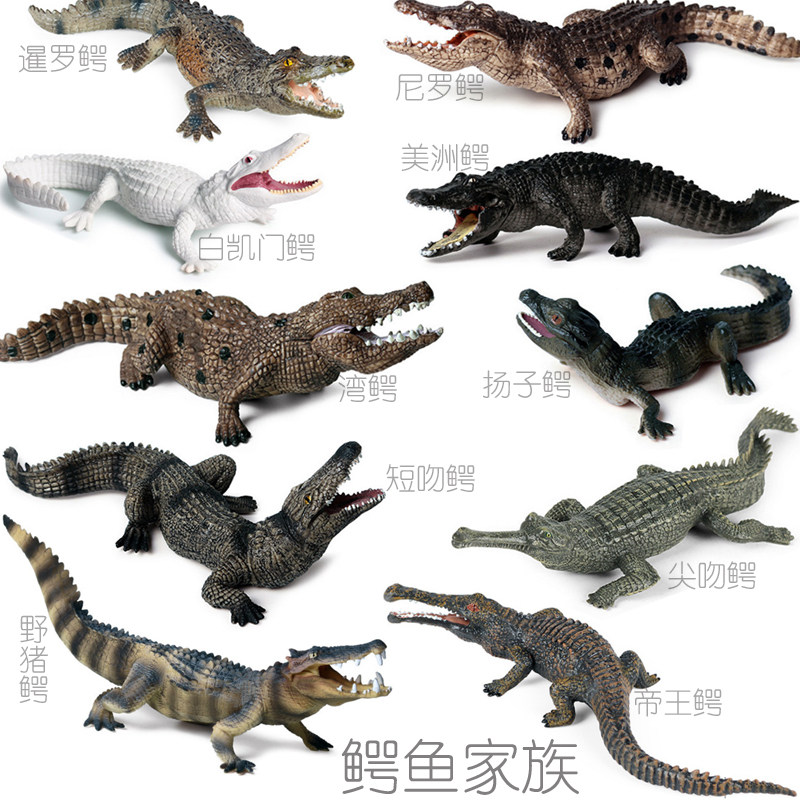 硬塑胶鳄鱼玩具仿真模型12种