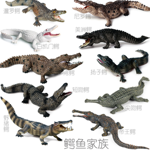 硬塑料鳄鱼玩具仿真模型尼罗鳄湾鳄短吻鳄美洲鳄野猪鳄扬子鳄公仔