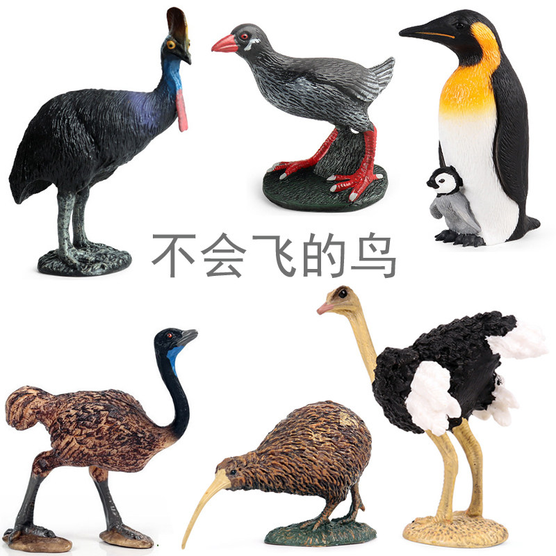 硬树脂不会飞的鸟仿真模型企鹅几维鸟鹬鸵鸟鹤鸵秧鸡儿童认知玩具