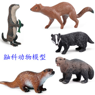 鼬科动物仿真模型黄鼠狼袋獾雪貂熊水海獭林臭鼬蒙氏儿童认知玩具