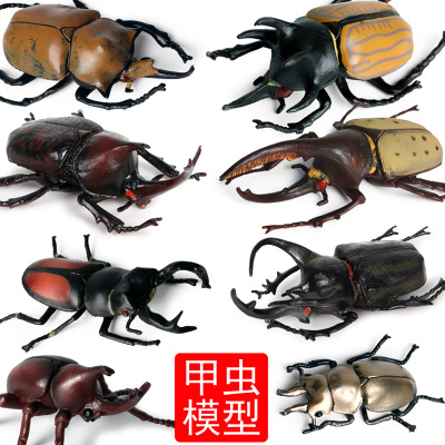 甲虫模型独角仙长戟南洋大兜虫