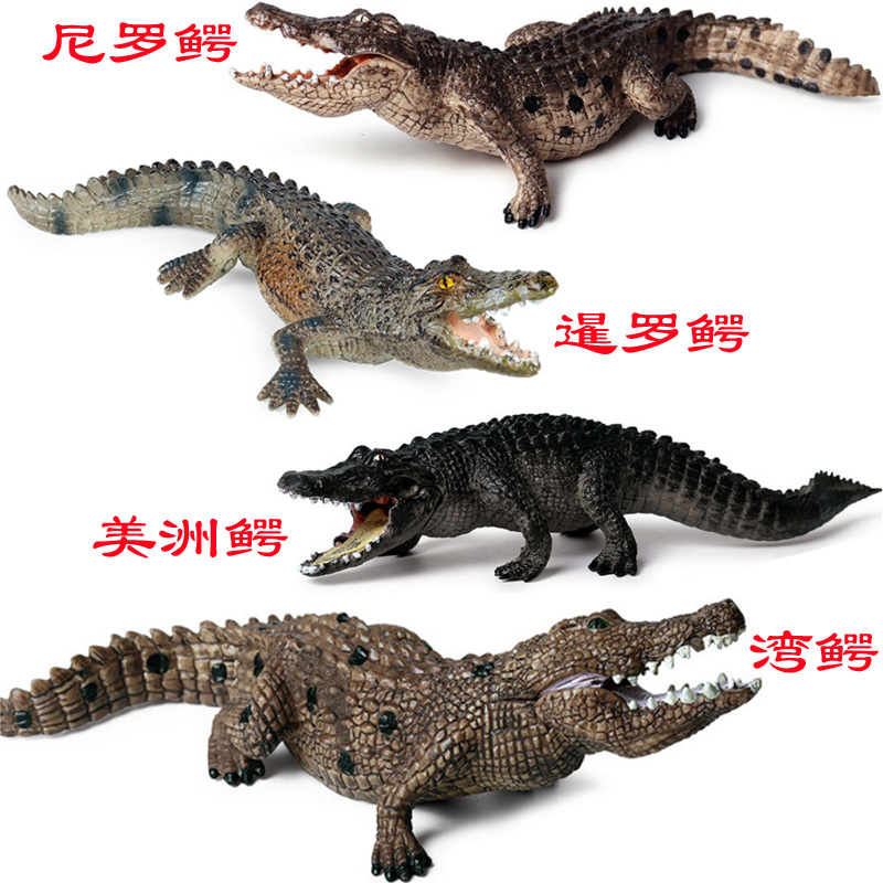 硬塑胶非洲尼罗鳄仿真模型美洲鳄暹罗鳄湾鳄马来河口咸水鳄鱼摆件