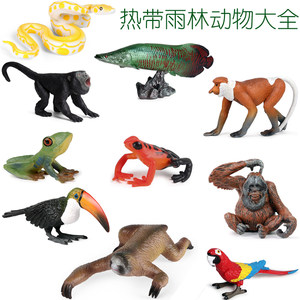 亚马逊热带雨林动物微缩场景仿真蜂鸟大嘴鸟吼猴树懒红毛猩猩玩具