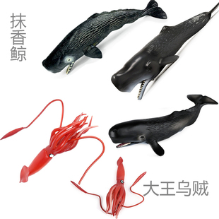 抹香鲸捕猎大王乌贼玩具仿真模型 大王酸浆鱿鱼巨枪乌贼儿童玩偶