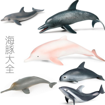 中华白海豚玩具长短吻太平洋斑纹江豚恒河豚仿真模型儿童认知公仔