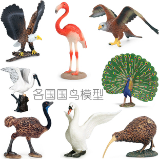 科普模型：各国国鸟大全白头海雕高卢雄鸡几维鸟火烈鸟儿童小玩具