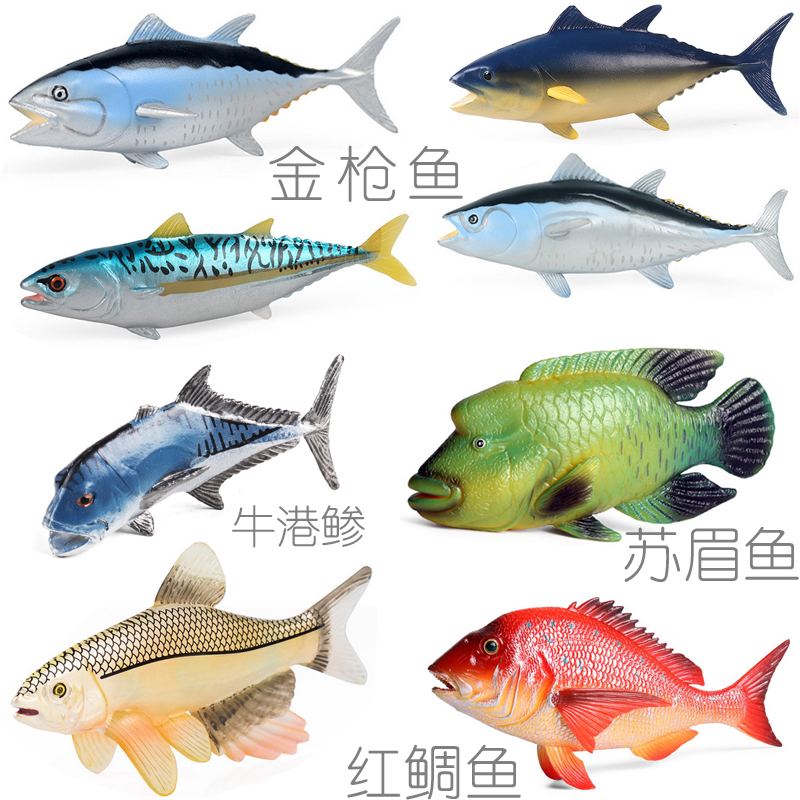 科普模型金枪鱼鲷鱼苏眉鱼牛港鲹