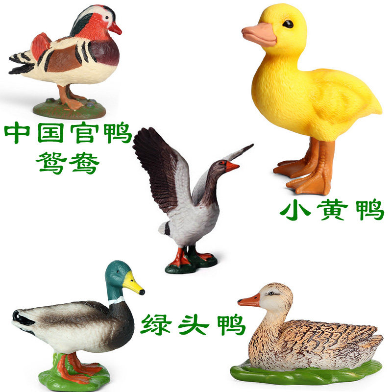 硬塑料绿头鸭仿真模型中国官鸭鸳鸯麻鸭小黄鸭灰秧鸡儿童认知玩具