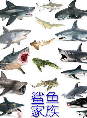 20种鲨鱼模玩，儿童认知早教玩具