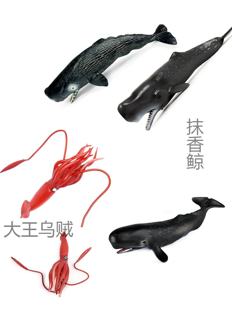 향유 고래 사냥 왕 오징어 장난감 시뮬레이션 모델 왕 PHYSALIS 오징어 거대한 총 오징어 어린이 인형