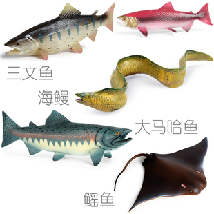 三文鱼仿真模型大马哈鱼鲑鱼橡胶塑料玩具海鳗鱼电鳗鳐鱼海洋动物