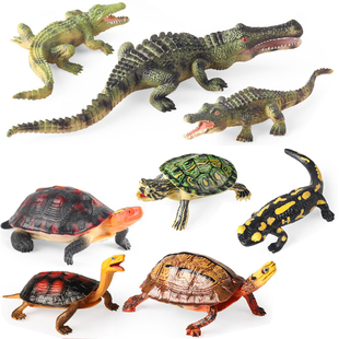 两栖爬行动物鳄鱼玩具火蝾螈金钱龟黄缘闭壳龟黄缘白化龟仿真模型