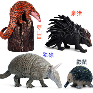 硬塑犰狳模型食蚁兽豪猪鼹鼠穿山甲刺猬飞鼠土豚动物蒙氏早教玩具
