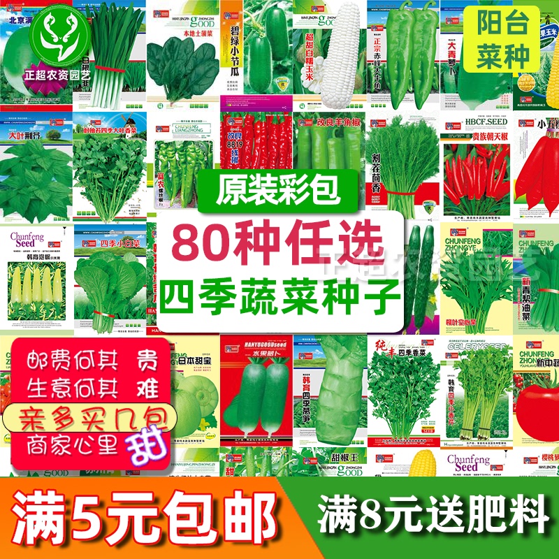 蔬菜种子四季菜籽白菜香