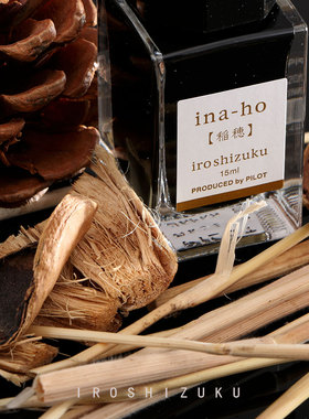 败家实验室日本PILOT百乐INK15色彩雫钢笔彩墨彩色墨水夕烧冬将军