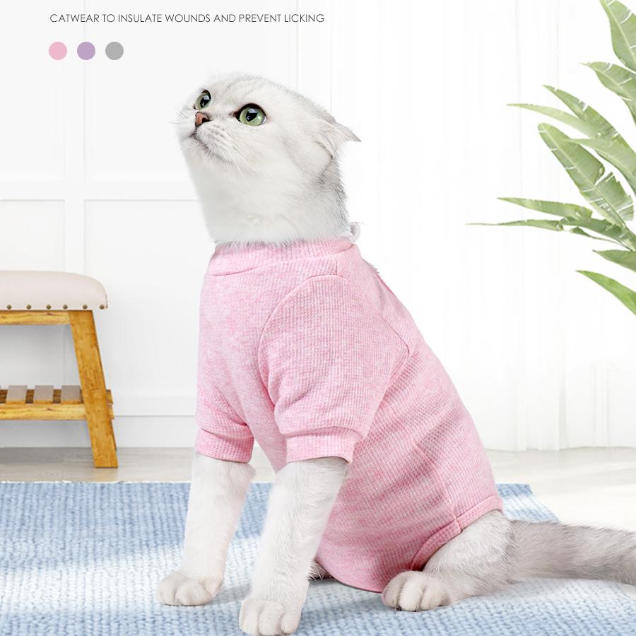 2024新款猫咪康复服四季透气扣子