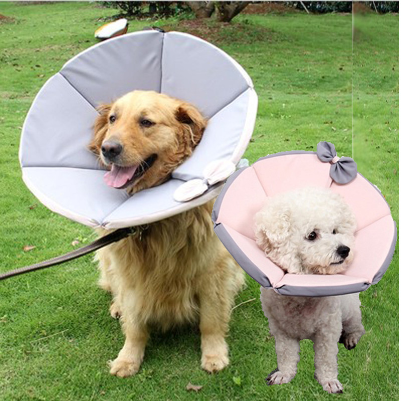 伊丽莎白圈狗大型犬金毛防舔项圈泰迪头套猫咪耻辱圈绝育圈软防咬
