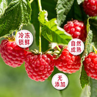 Fresh frozen raspberries, quick-frozen red raspberries, frozen raspberries, fresh raspberries can be made into raspberry powder and raspberry jam thumbnail 2