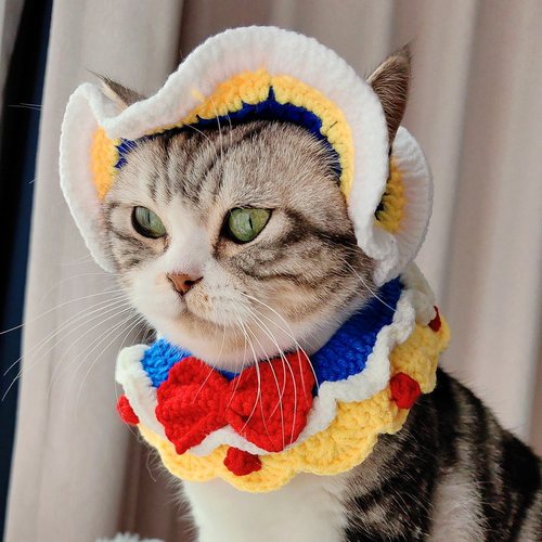 宠物猫咪小狗帽子露耳朵围脖套装