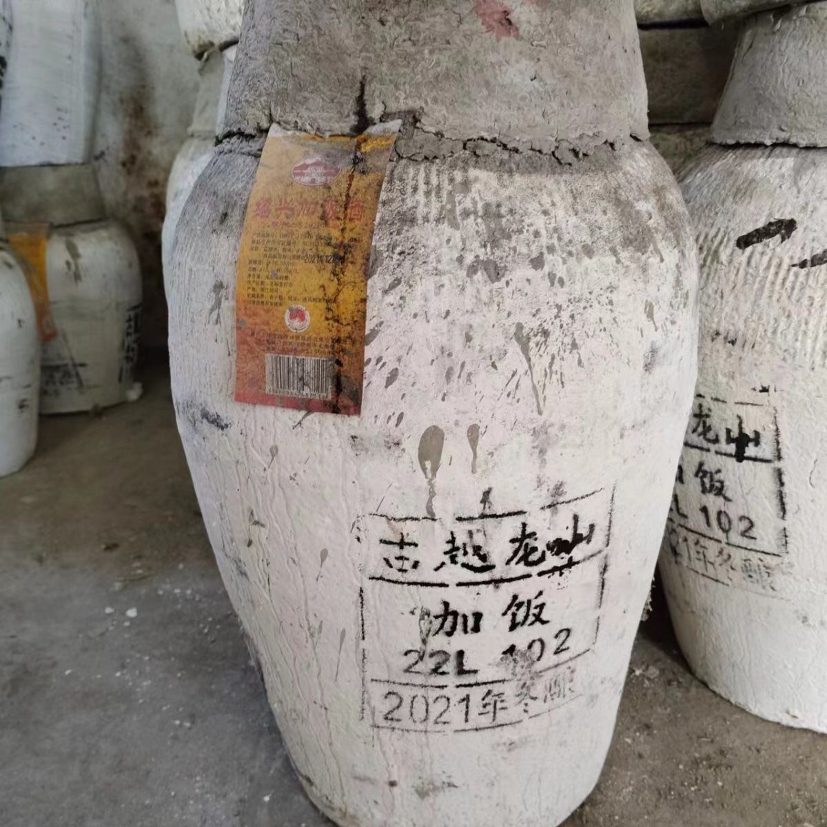 古越龙山2021年冬酿黄酒 绍兴黄酒 冬酿花雕22公斤大坛原浆黄酒