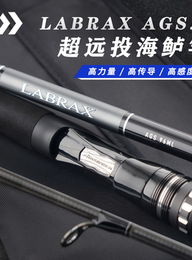 达亿瓦LABRAX AGS兰博士轻量碳纤维远投海鲈翘嘴路亚竿蓝博士