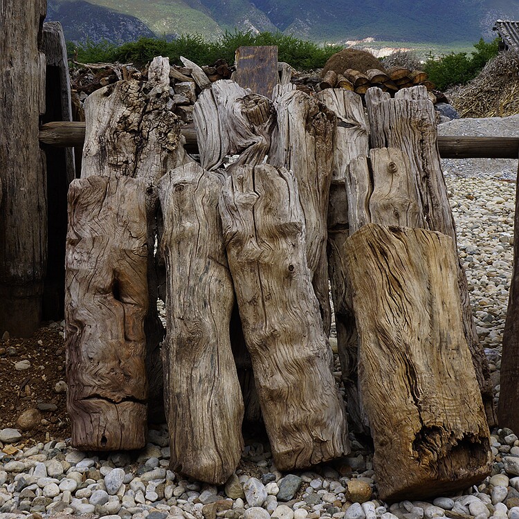 风化树干高级原木花槽 禅空间装饰 精美枯木室内设计装修复古loft