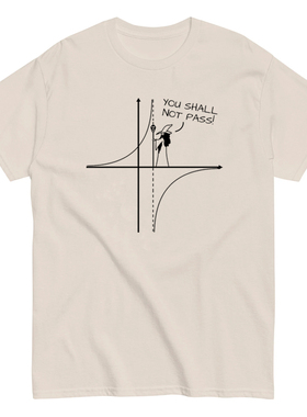 you shall not pass短袖T恤指环王巫师甘道夫魔戒Math数学男女