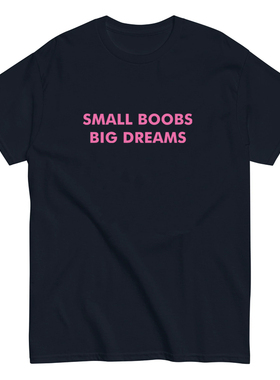 SMALL BOOBS BIG DREAMS搞笑趣味美式简约短袖百搭 t恤男女潮打底