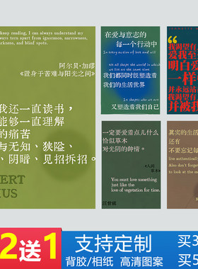 文学艺术海报诗歌个性墙贴纸加缪黑塞治愈励志文字书房卧室装饰画