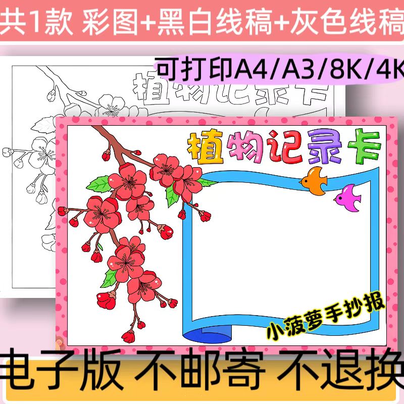 B37植物生长记录卡手抄报模板电子版小学生植物生长观察记录线稿