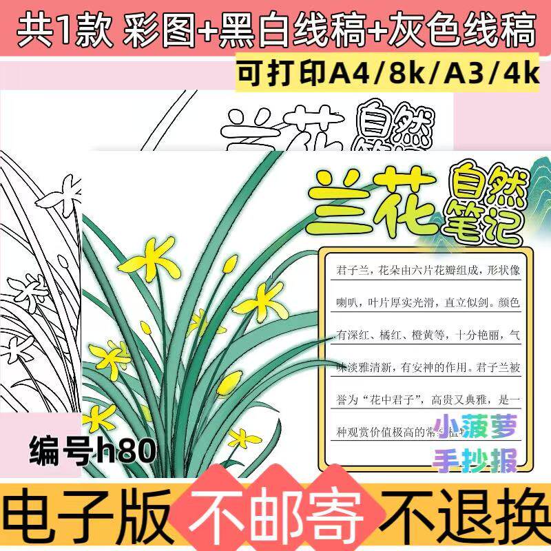 h80兰花自然笔记手抄报电子模板植物生长观察日记黑白线稿可打印