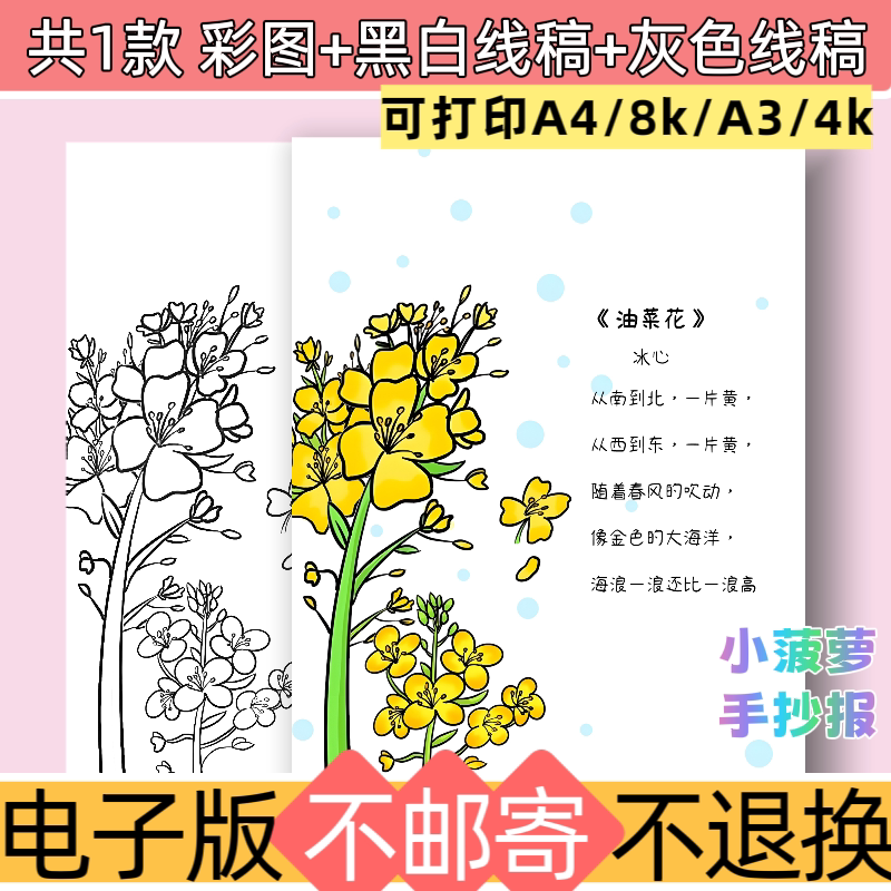 e39油菜花手抄报模板电子版小学生语文四年级诗配画黑白线稿