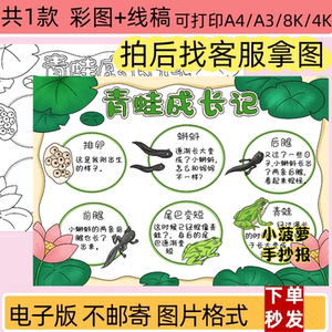 青蛙成长记手抄报电子模板小学生观察日记自然笔记线稿打印涂色