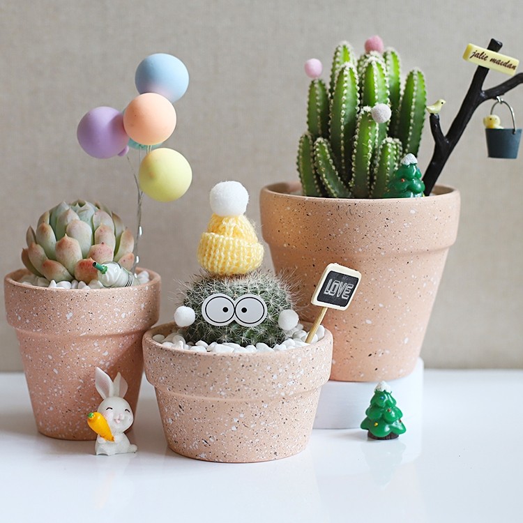 办公室桌面多肉仙人掌球植物室内幼儿园小盆栽工位绿植四季好养活,鲜花速递/花卉仿真/绿植园艺,多肉植物,淘宝优惠券,粉丝福利购,淘宝优惠卷