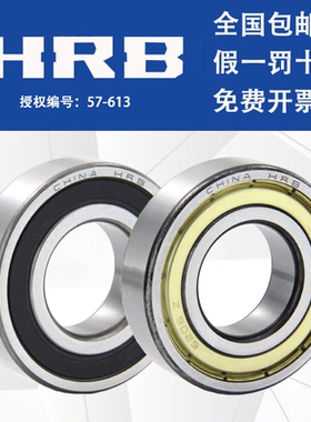 正品哈尔滨轴承 6306 6307 6308 6309 6310 2Z RZ 深沟球轴承 HRB