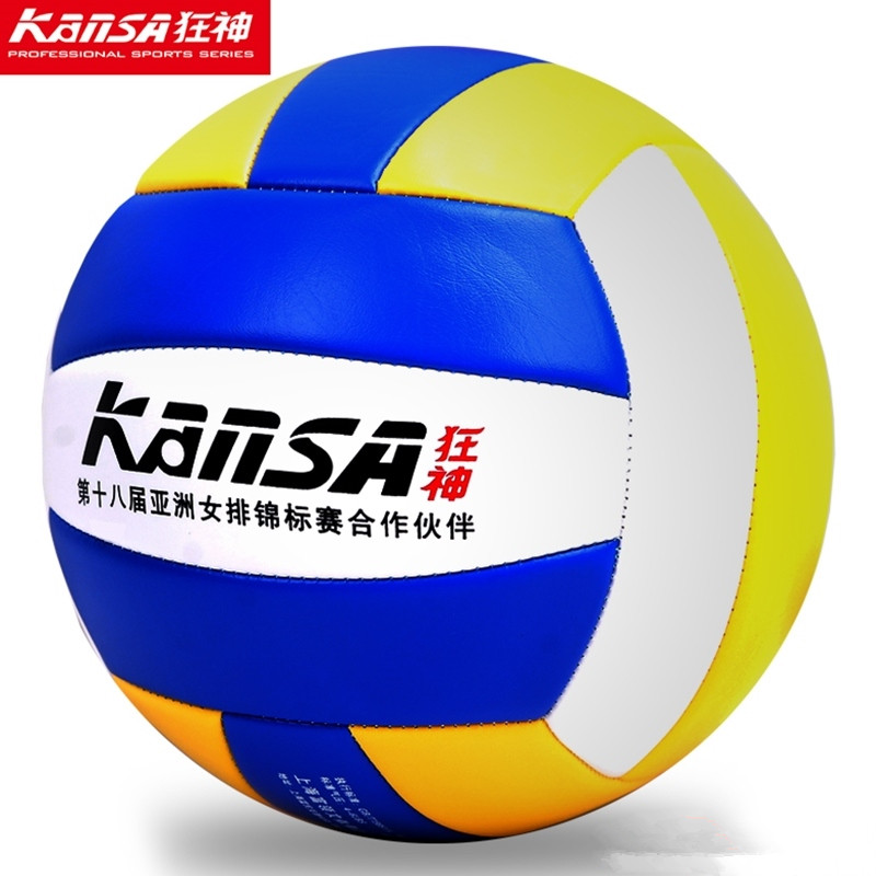 Ballon de volley - Ref 2010528 Image 1