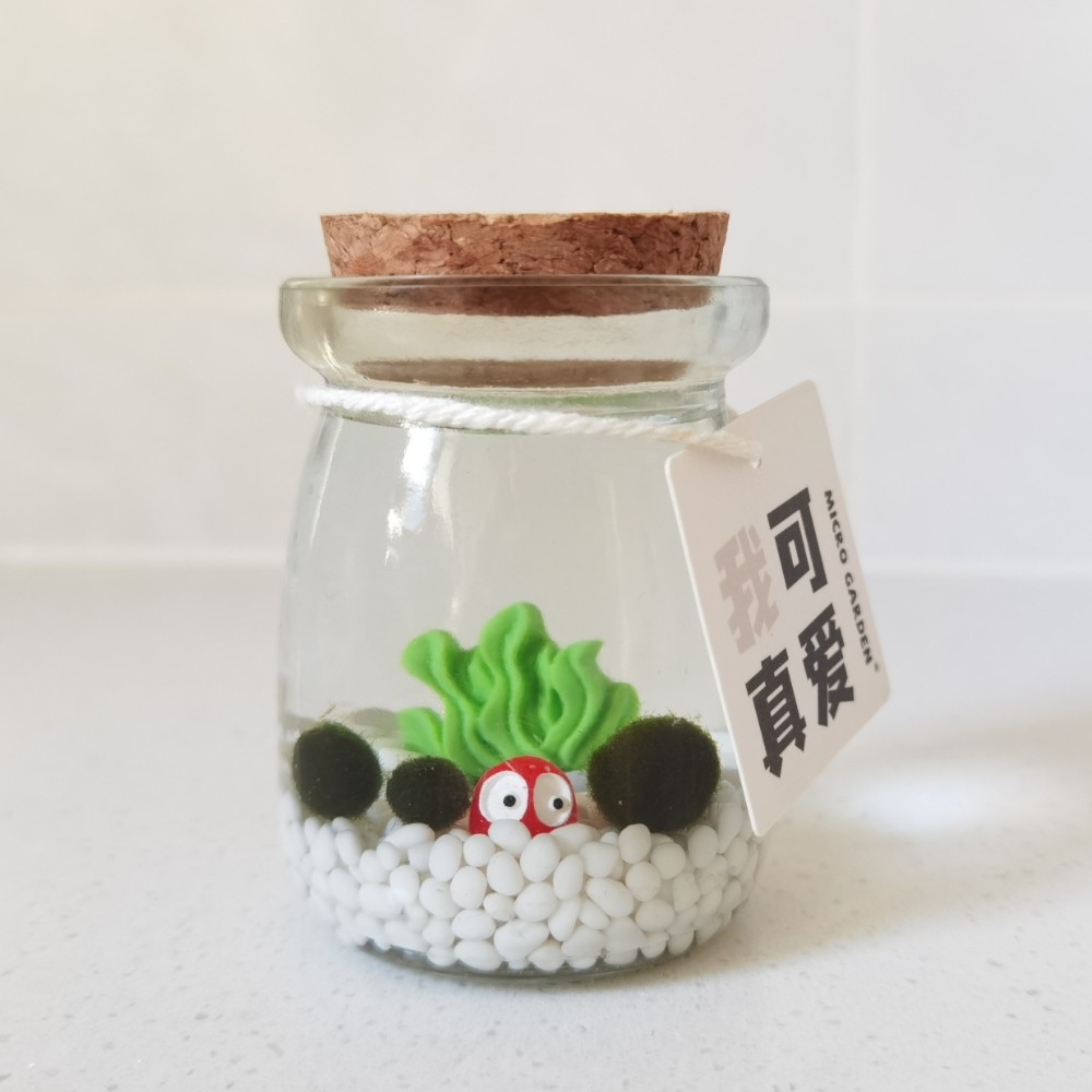 桌面小植物迷你创意礼物diy海藻球生态瓶可爱好养活冬季可养萌趣,鲜花速递/花卉仿真/绿植园艺,海藻球,淘宝优惠券,粉丝福利购,淘宝优惠卷