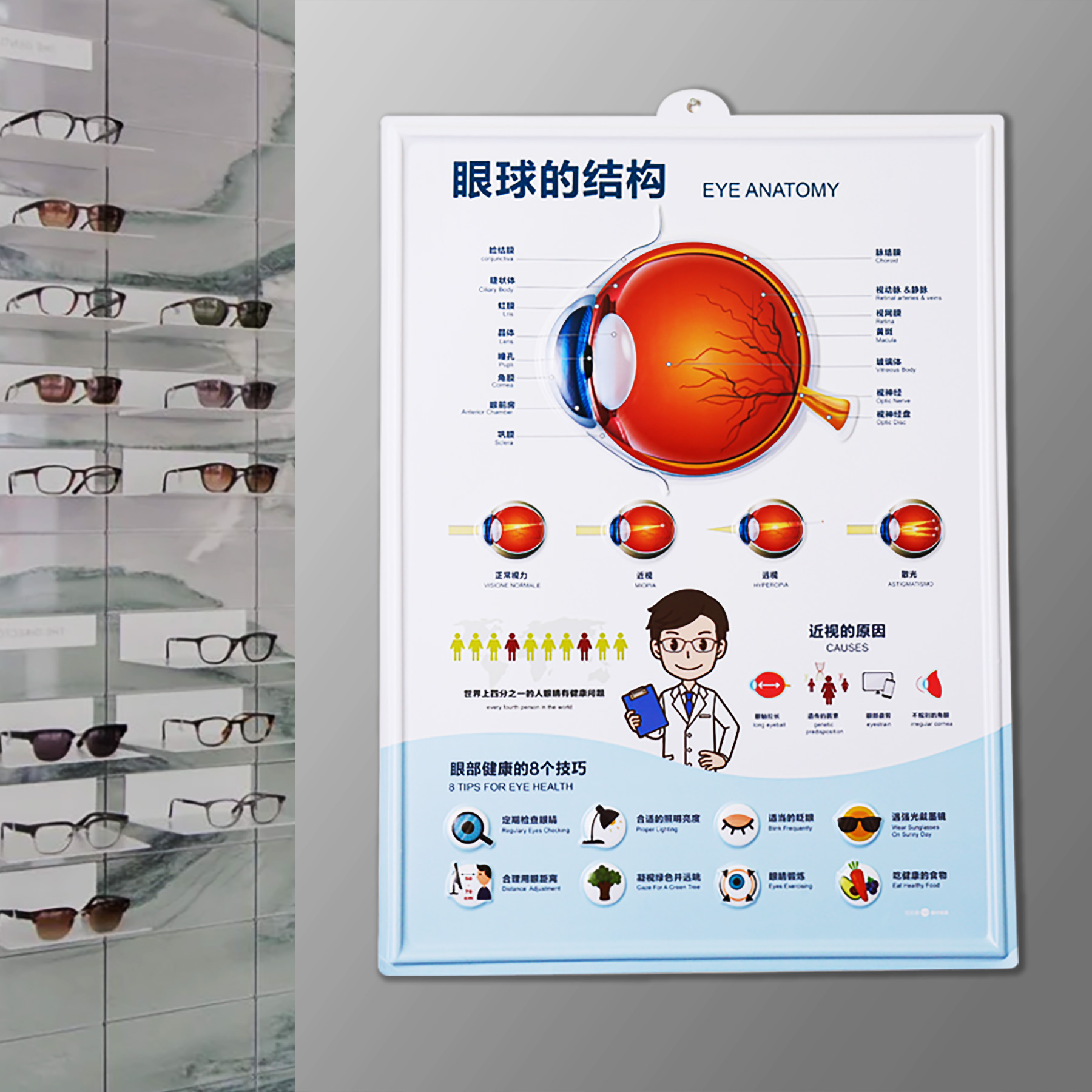 眼科医院海报眼球结构图爱眼护眼墙贴眼镜店装饰画挂图宣传图