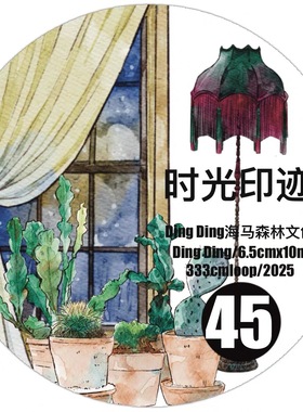 D61 DingDing文创【时光印迹】和纸模切 6.5×333cm 手帐胶带分装