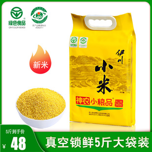 伊川黄小米粥新米5斤袋装河南特产当年米农家食用糯小米五谷杂粮