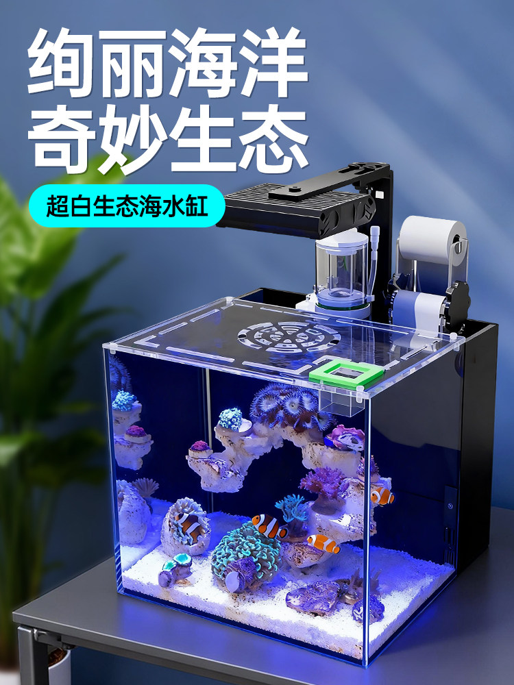 Dəniz akvariumu dəsti arxa filtrlə, ultra ağ şüşə, kiçik ölçülü