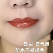 淡妆素颜奶茶肉桂豆沙色口红学生党自然色持久防水不易掉色不沾杯