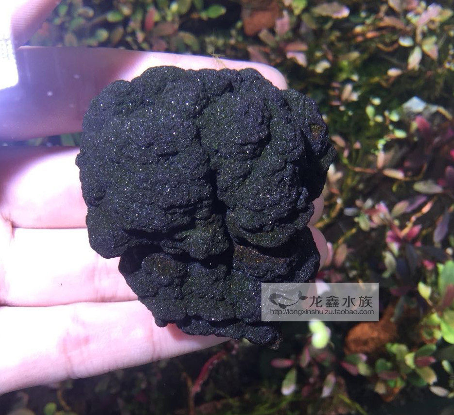 进口虾缸中性水晶造景石