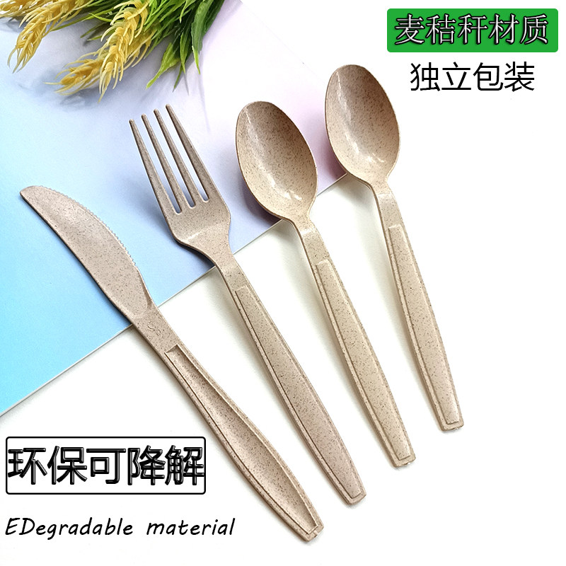 餐厅打包外卖一次性刀叉勺独立包装牛排披萨轻食沙拉意面叉拌饭勺