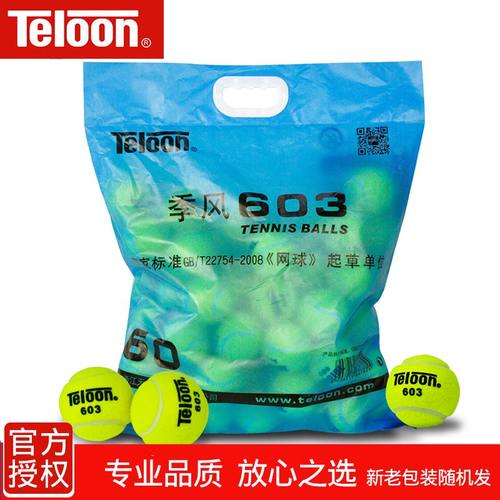 天龙网球603耐磨专业训练球