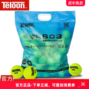 801袋装 603球复活耐磨专业训练球 网球rising 天龙网球Teloon 正品